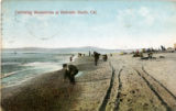 Gathering Moonstones at Redondo Beach