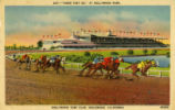 407:--"There They Go," at Hollywood Park., Hollywood Turf Club, Inglewood, California