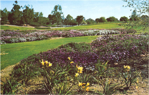 South Coast Botanic Garden, Palos Verdes Peninsula, CA