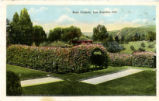 Rose Pergola, Los Angeles, Cal