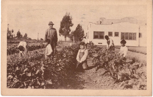 Mexican Farmers, Spanish-American Institute, Gardena, California