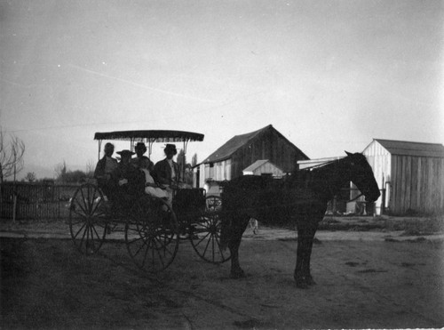 Buss's Surrey and Horse