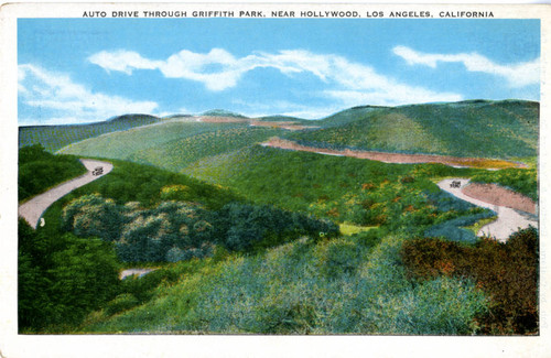 Auto Drive Through Griffith Park, near Hollywood, Los Angeles, California