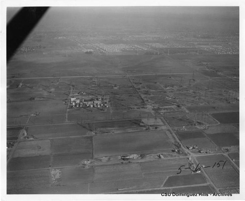 Dominguez Hill oil fields