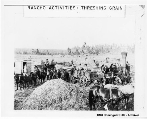 Threshing Grain on Rancho San Pedro