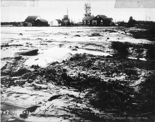 Bangle farm, flood damage