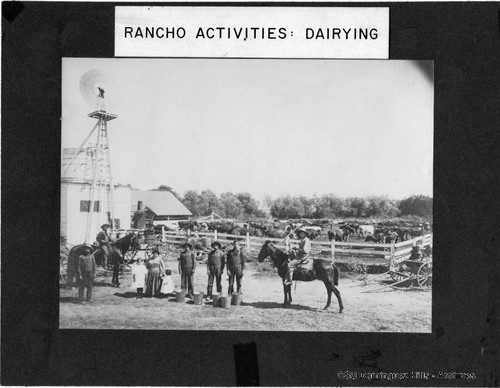 Carson Estate Company dairy farm