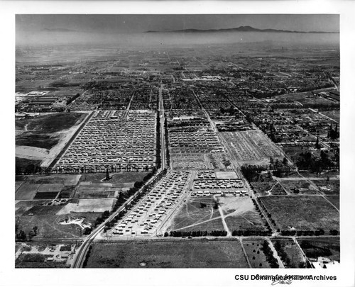 Looking east over Torrance Gardens