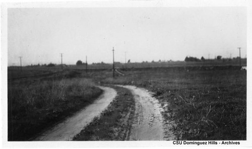 Dirt road through field