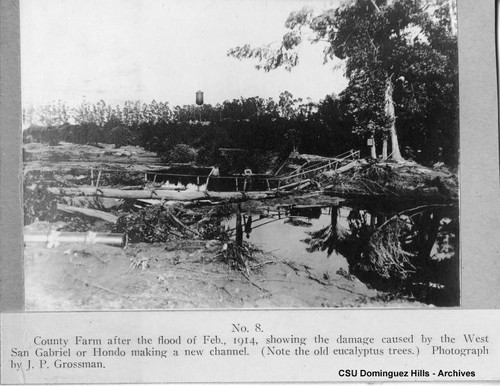 Weinberg Company vs. Bixby, et al; Number 8; County Farm damage