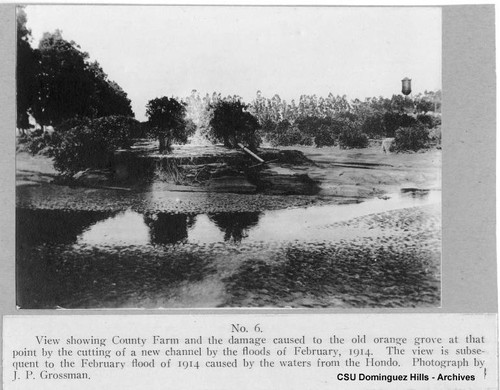 Weinberg Company vs. Bixby, et al; Number 6; flood damage to orange grove