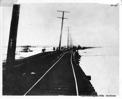 Flood, Cerritos Bridge