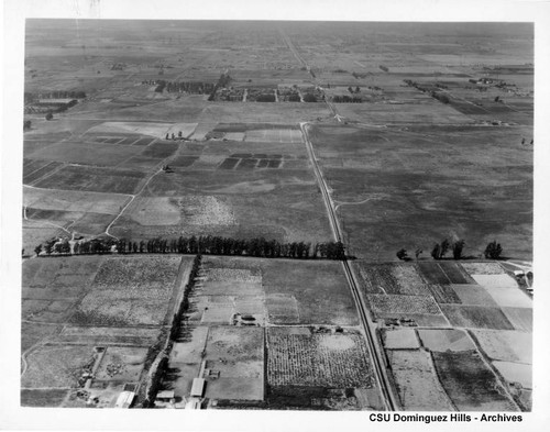 Over Torrance fields