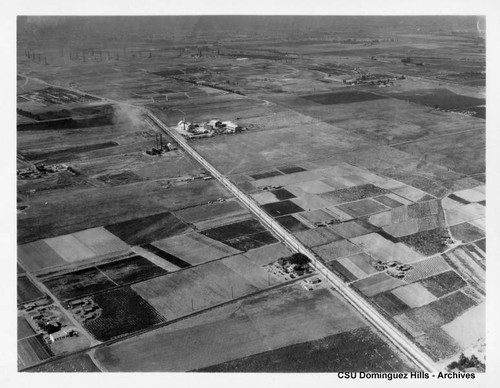 Dominguez Junction fields