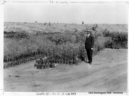 Gregorio del Amo at Del Amo Nurseries