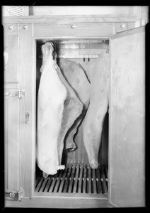 Meat refrigerator, Southern California, 1931