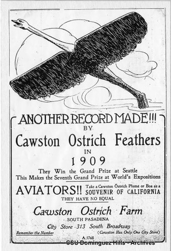 Newspaper advertisement