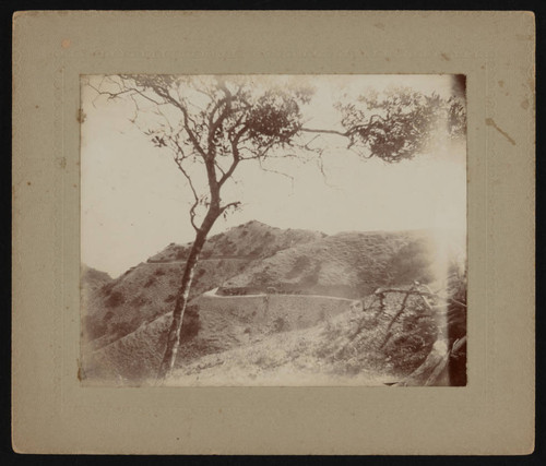 Stagecoach on Santa Catalina Island mountain road