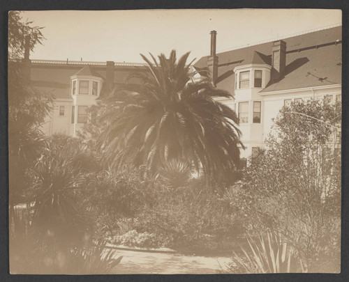 Vegetation in front of Hotel Redondo