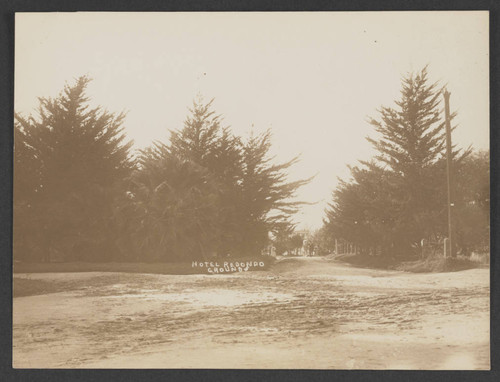 Path on the grounds of Hotel Redondo