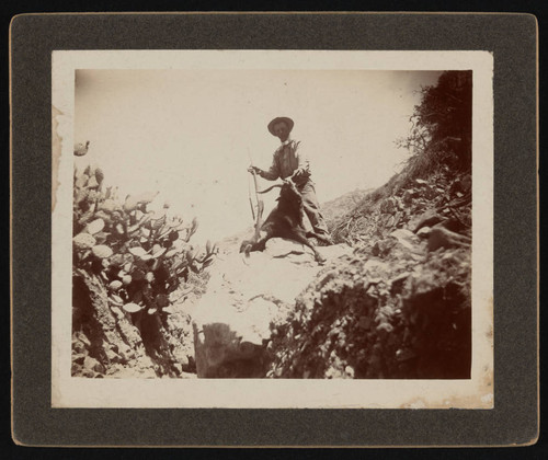 Photograph of Bazil Tillson Rozelle hunting on Santa Catalina Island