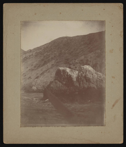 Rock formation and driftwood on Santa Catalina Island