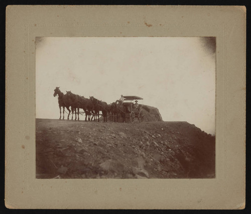 Stagecoach on Santa Catalina Island