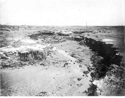 Flooded field