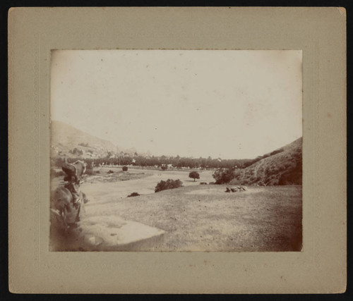 Mountain valley with grove of trees and distant road