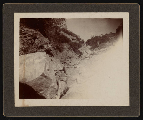 Rocky gully on Catalina Island