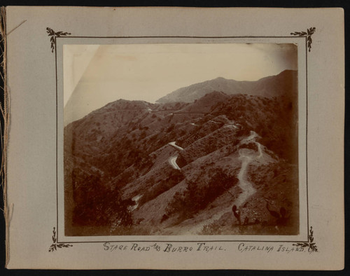 Mountain Roads on Santa Catalina Island