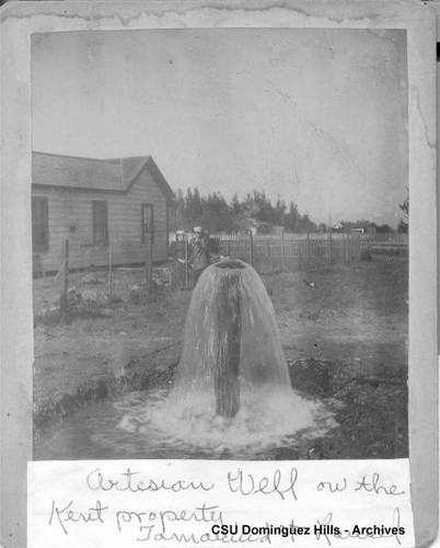 Artesian well