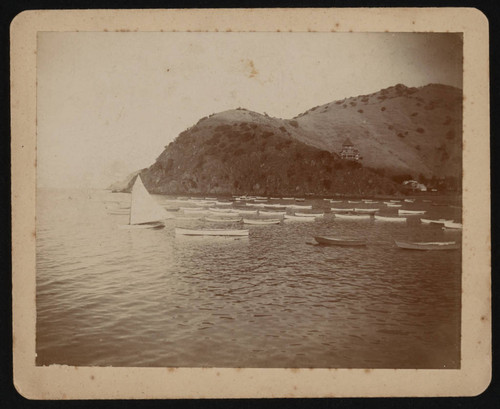 Boats moored in Santa Catalina Island harbor