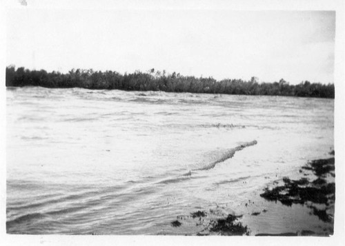 Flooded field