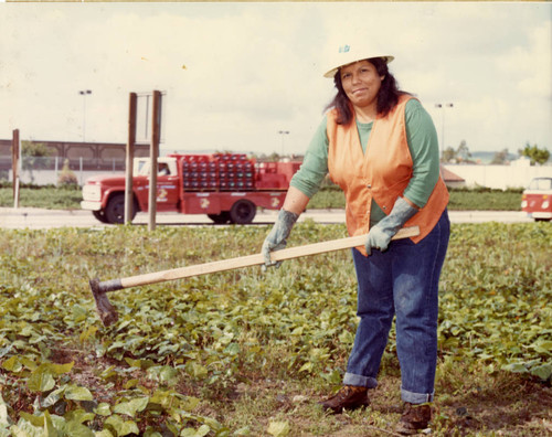 Caltrans Training Program