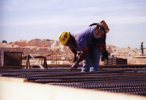 Denise Johnson, union ironworker