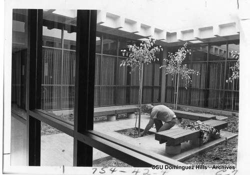 Student Health Center - landscaping