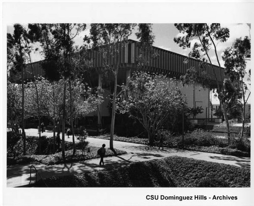 Campus library - northeast face