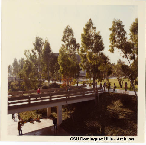 Bridge and campus walkway