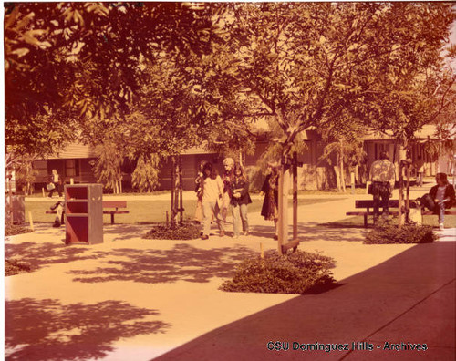 Students in Small College courtyard