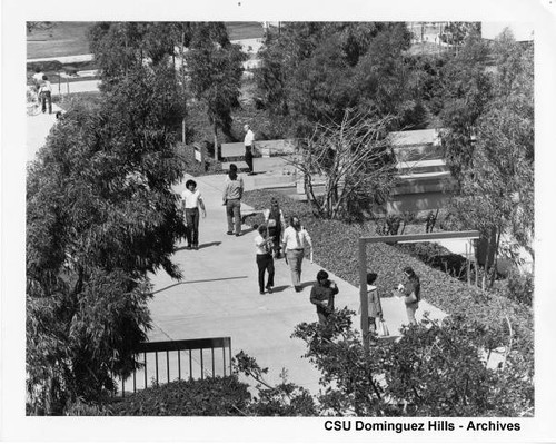 Main walkway on sunny day