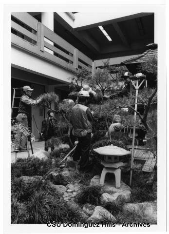 Japanese Garden - maintenance