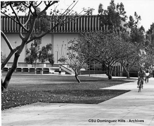 Campus library - north view