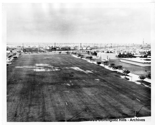 Looking north from library