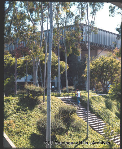 Educational Resource Center with landscaping