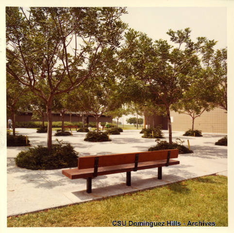 Small College courtyard