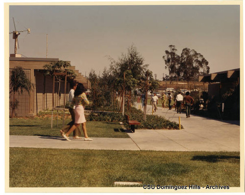 Students walking around Small College