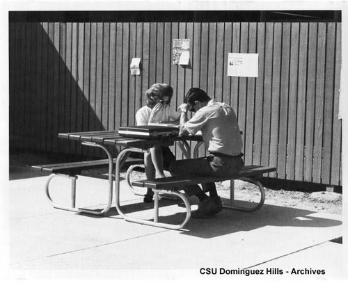 Students study at picnic table