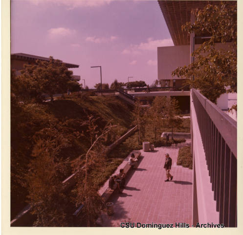 Students in outside lounge area