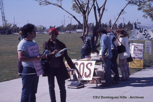 Student Government Electioneering